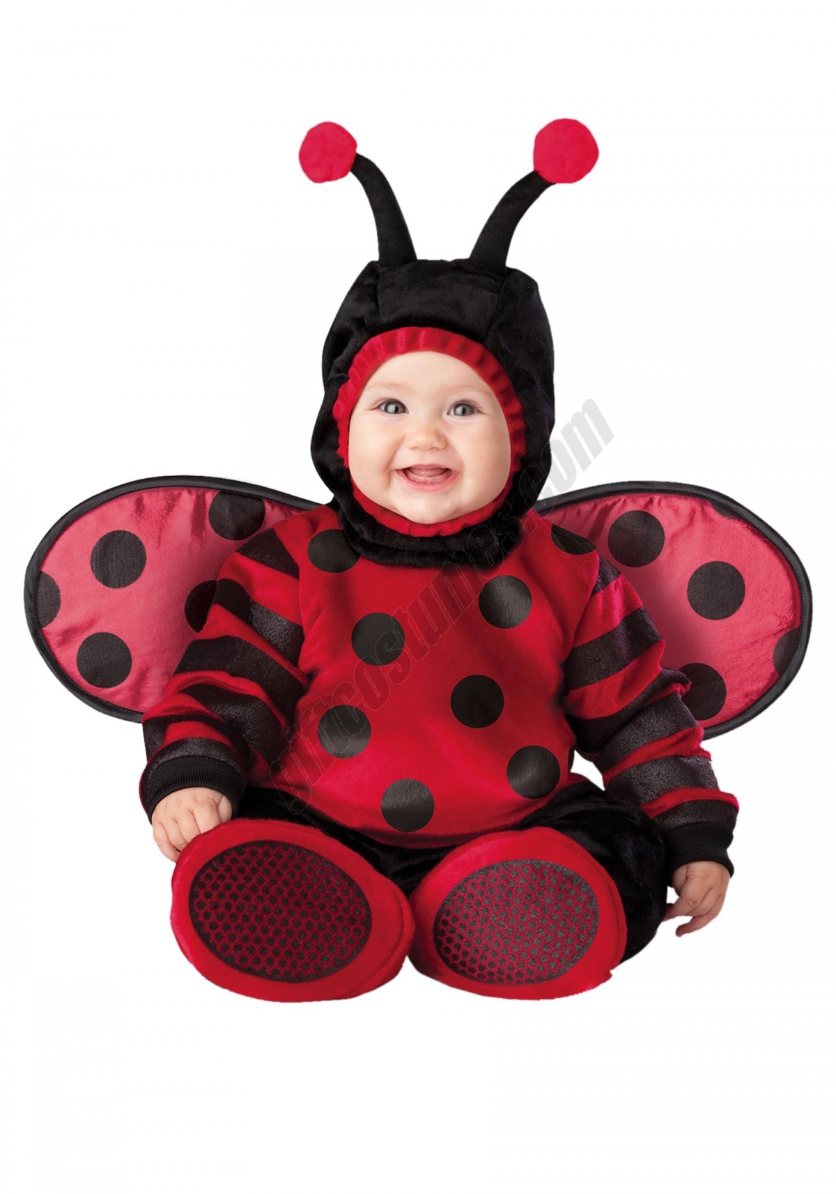 Infant Itty Bitty Lady Bug Costume Promotions - -0