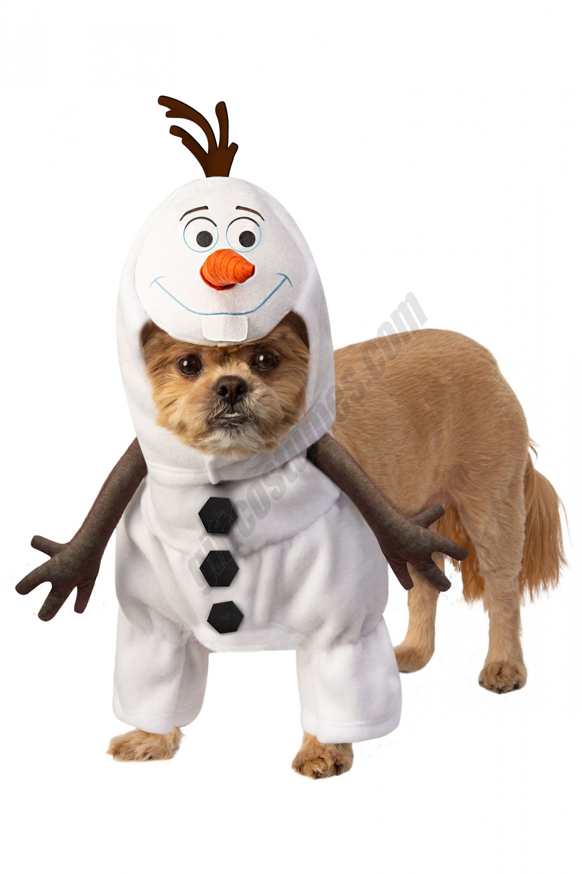 Frozen Olaf Pet Costume Promotions - -0