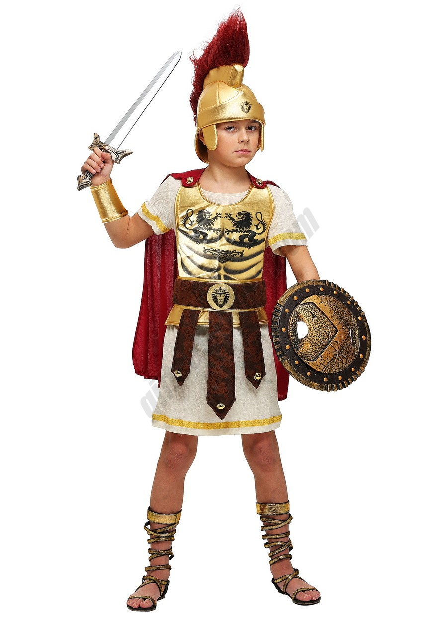 Gladiator Champion Boys Costume Promotions - -0