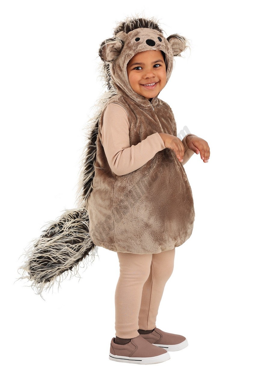 Needles the Porcupine Toddler Costume Promotions - -0