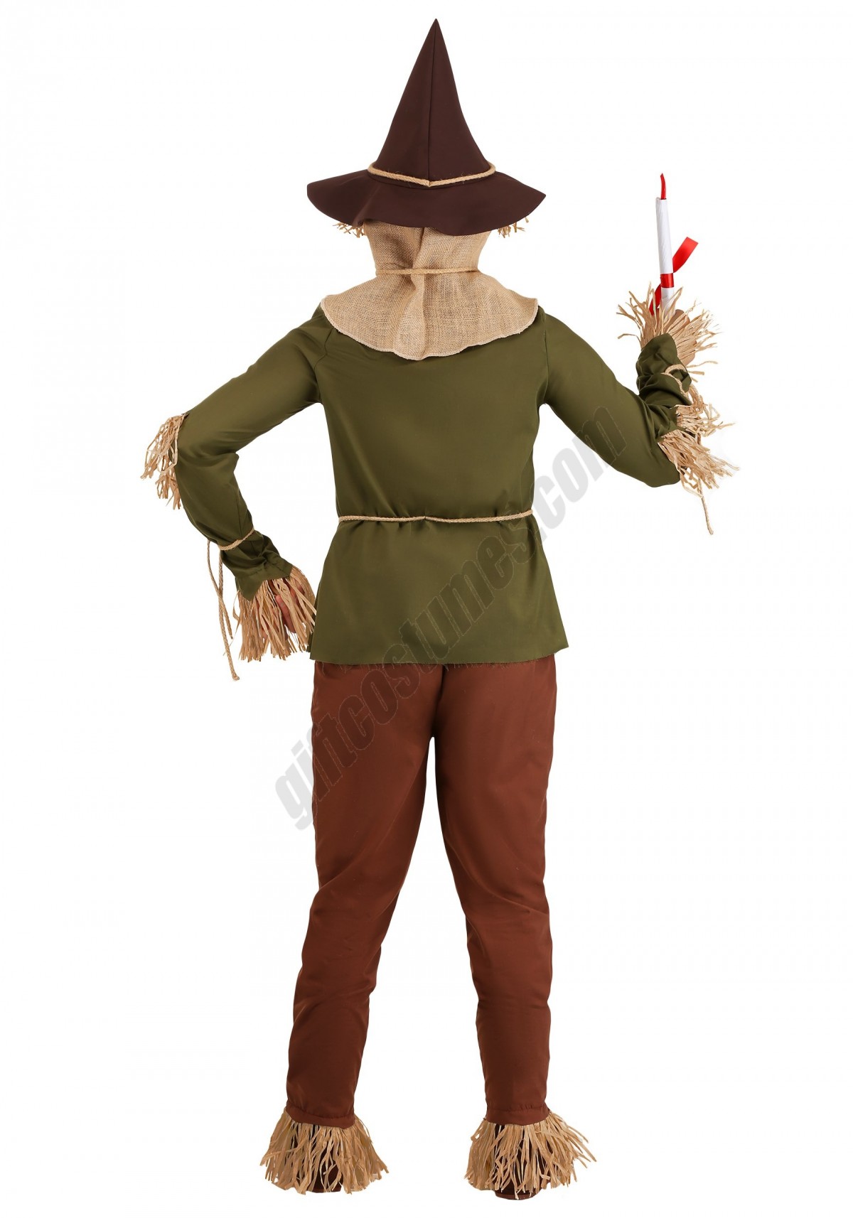 Wizard of Oz Adult Scarecrow Costume - Men's - -1
