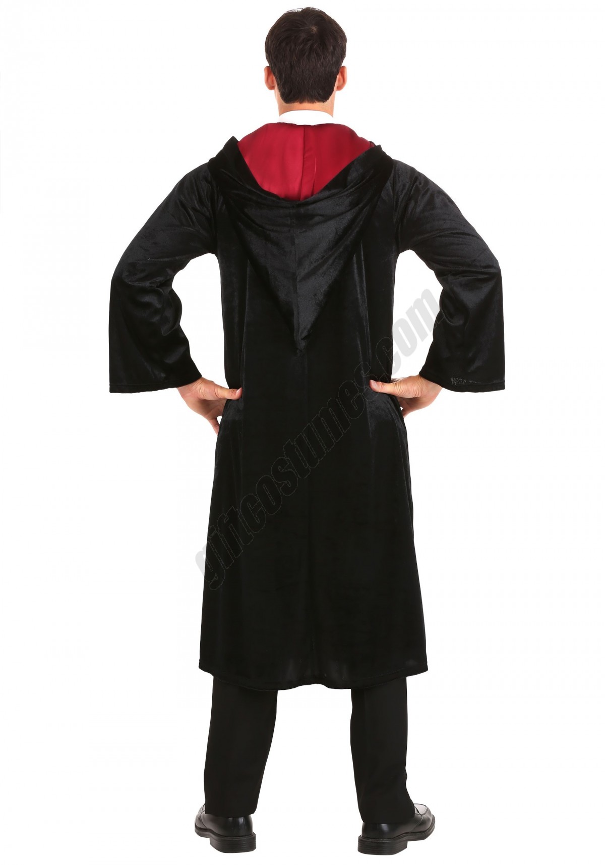 Deluxe Harry Potter Gryffindor Adult Plus Size Robe Costume Promotions - -2