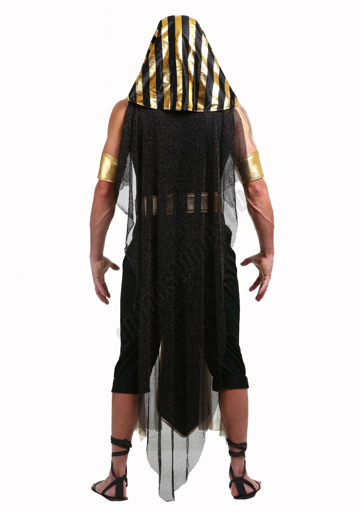 All Powerful Pharaoh Men's Costume - Men's - -1