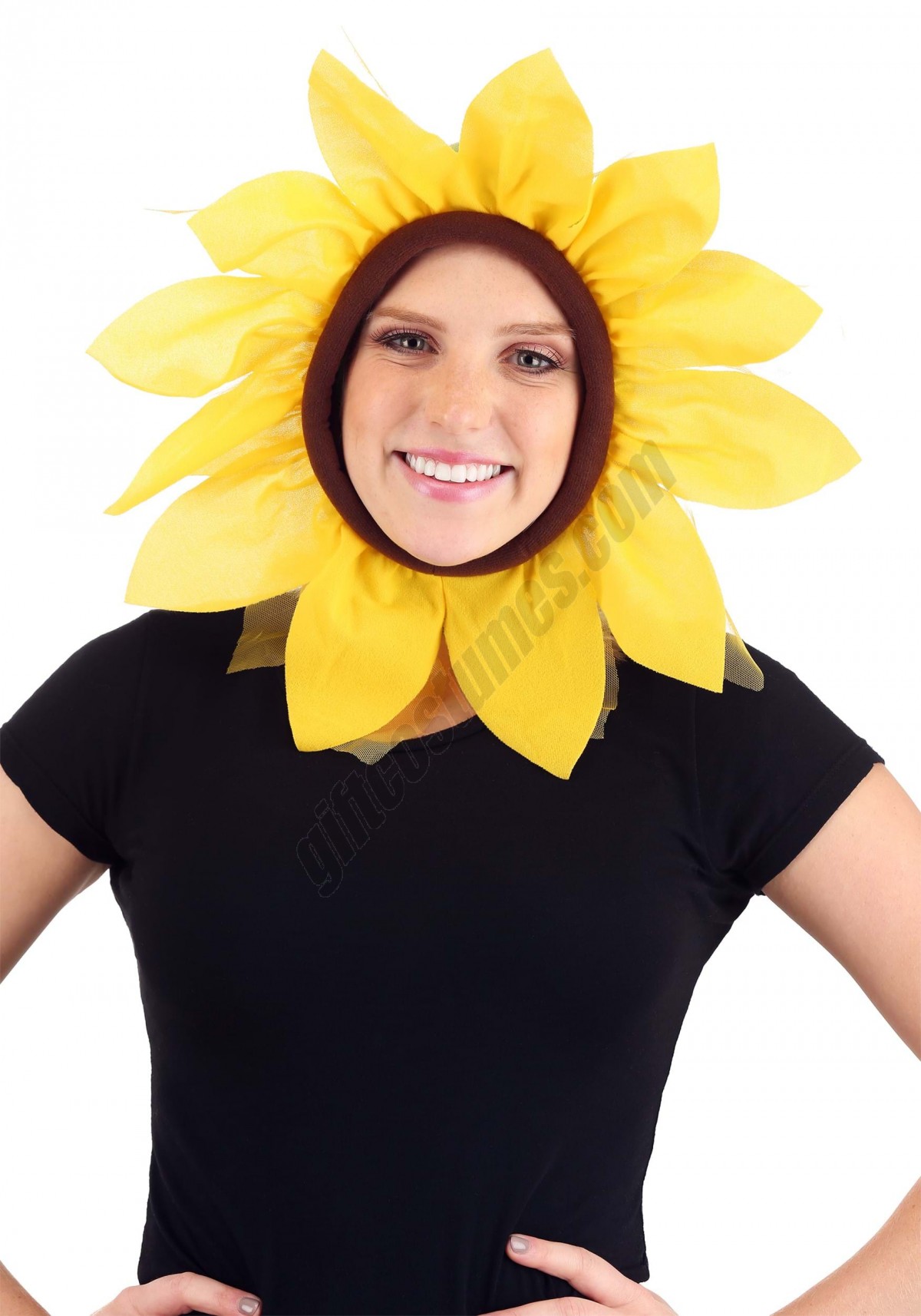 Sunflower Hood Promotions - -0