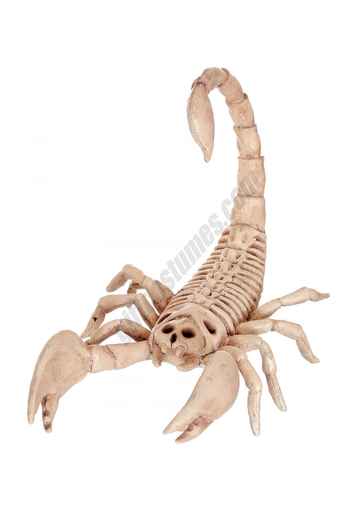 Mini Skeleton Scorpion Promotions - -0