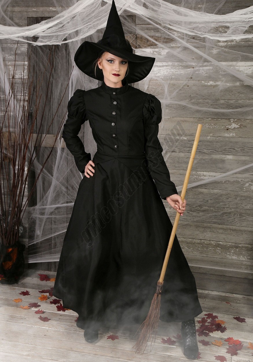 Women's Plus Size Witch Costume Promotions - -0