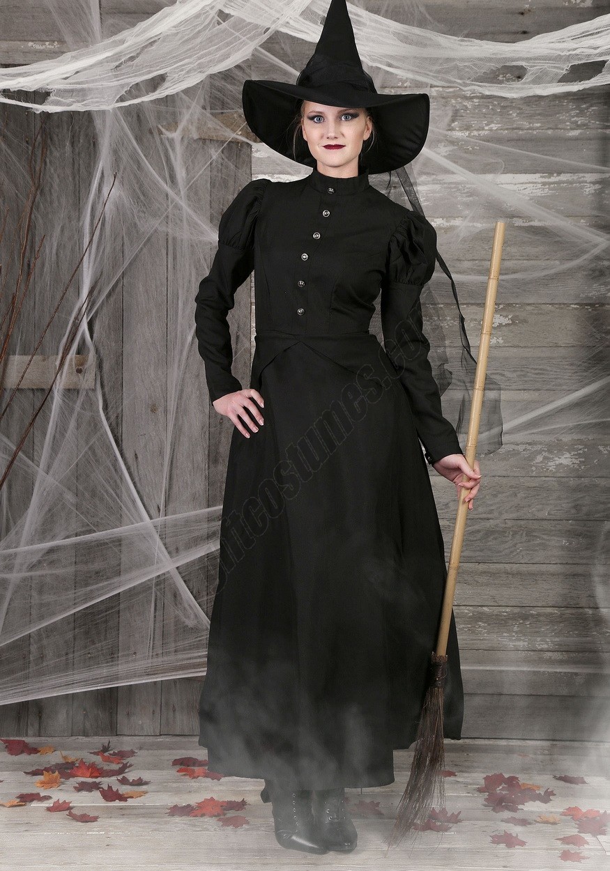 Women's Plus Size Witch Costume Promotions - -1