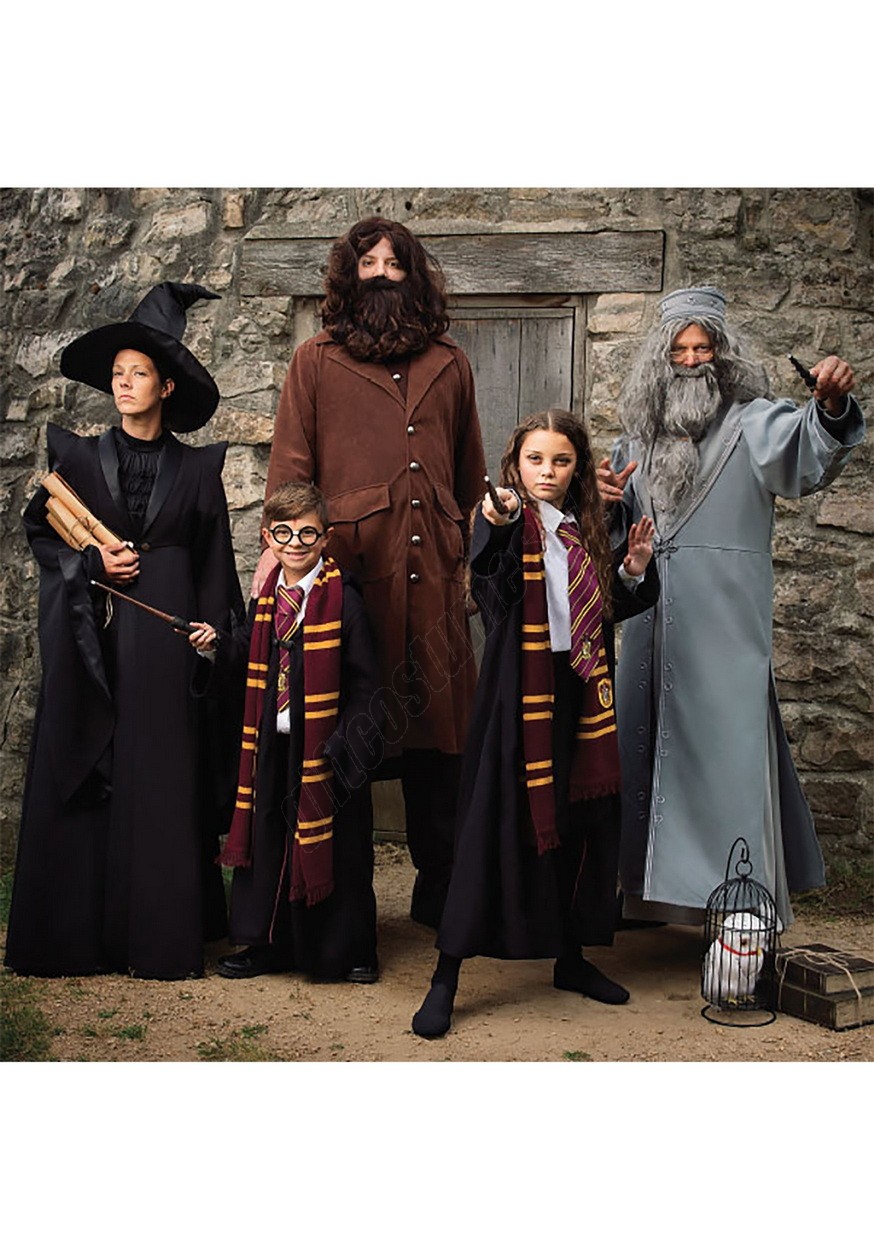 Deluxe Professor McGonagall Adult Costume Promotions - -8