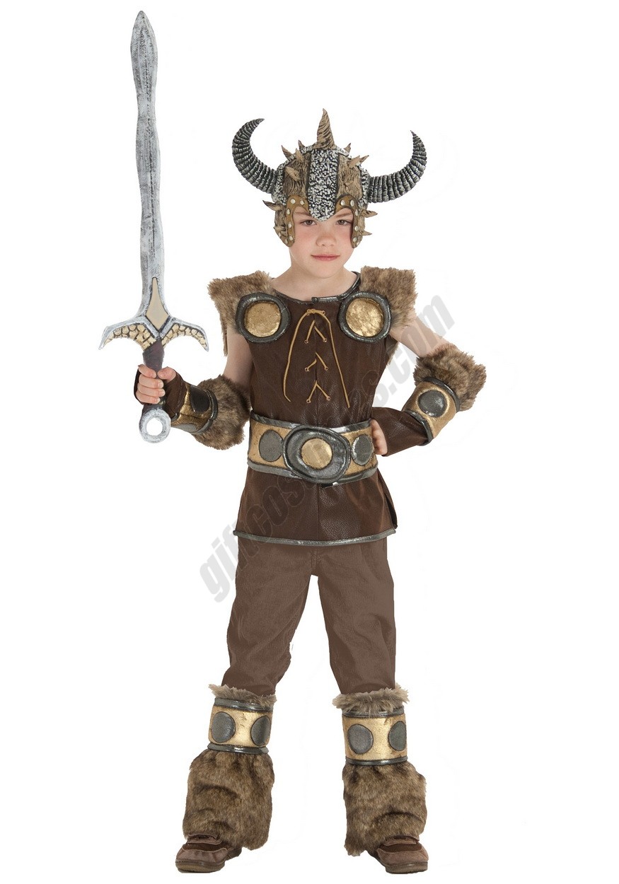 Viking Boy Costume Promotions - -0