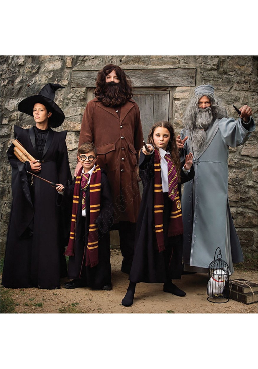 Harry Potter Deluxe Hagrid Plus Size Men's Costume Promotions - -1