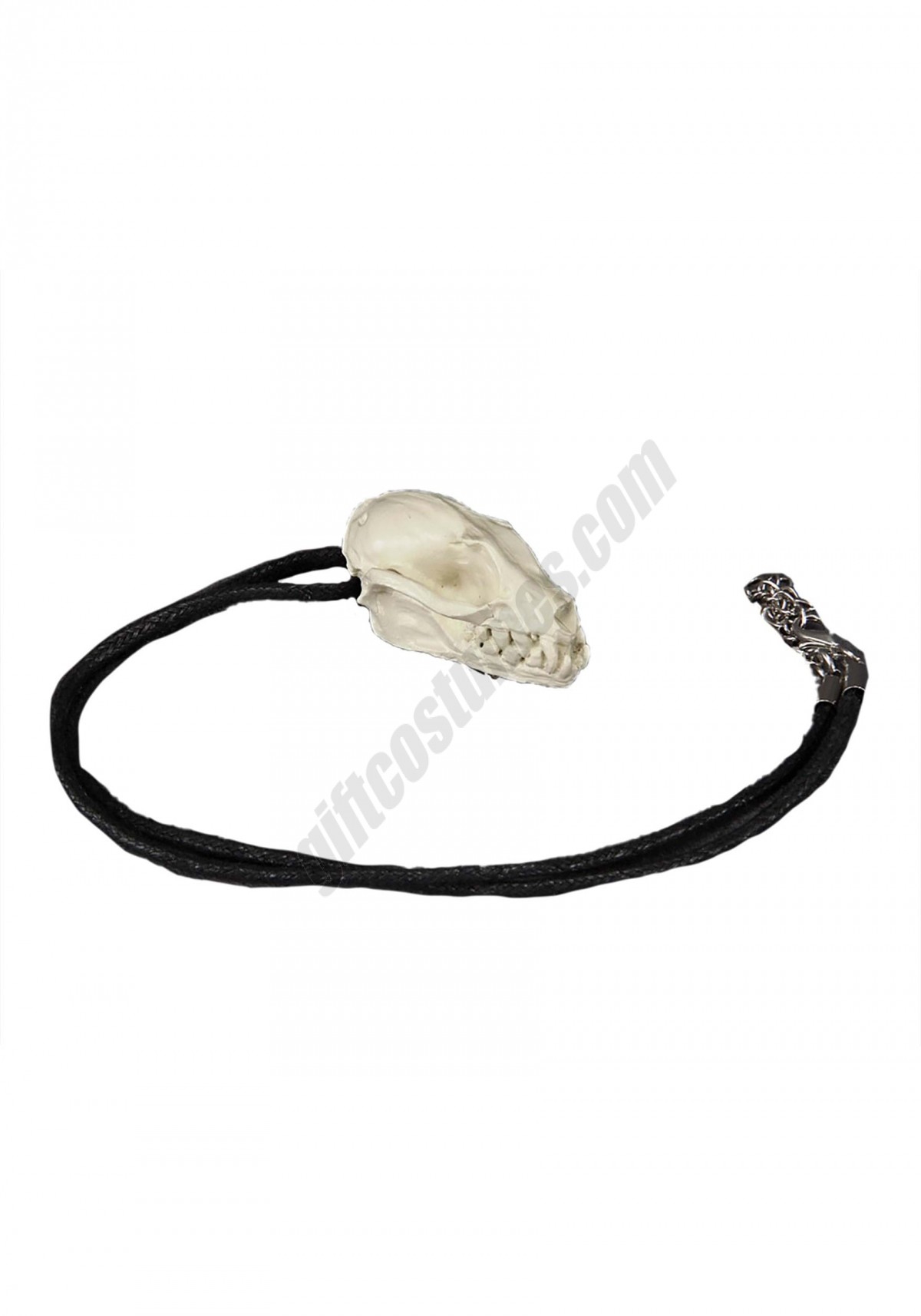 Bat Skull Necklace & Pin Promotions - -0