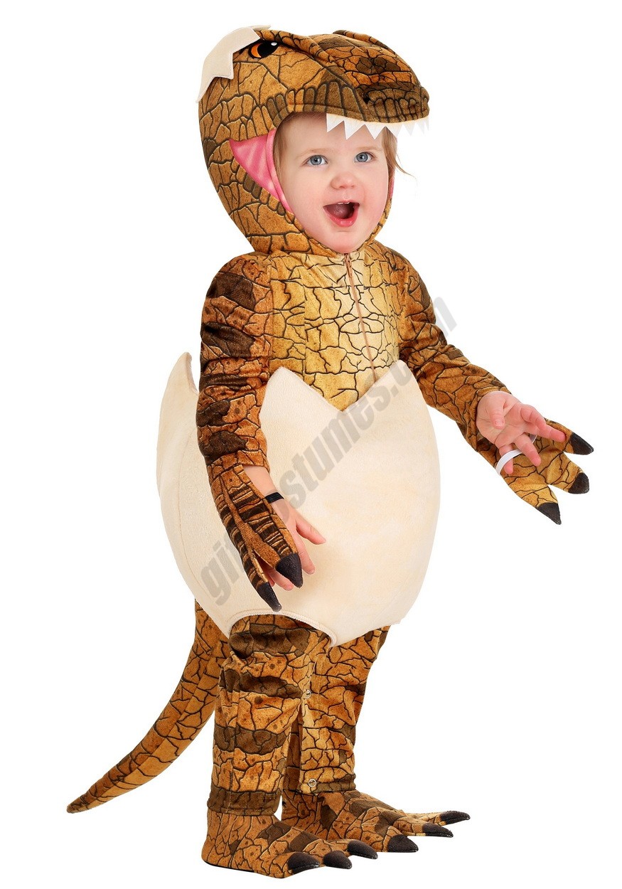 Velociraptor Baby Costume Promotions - -0