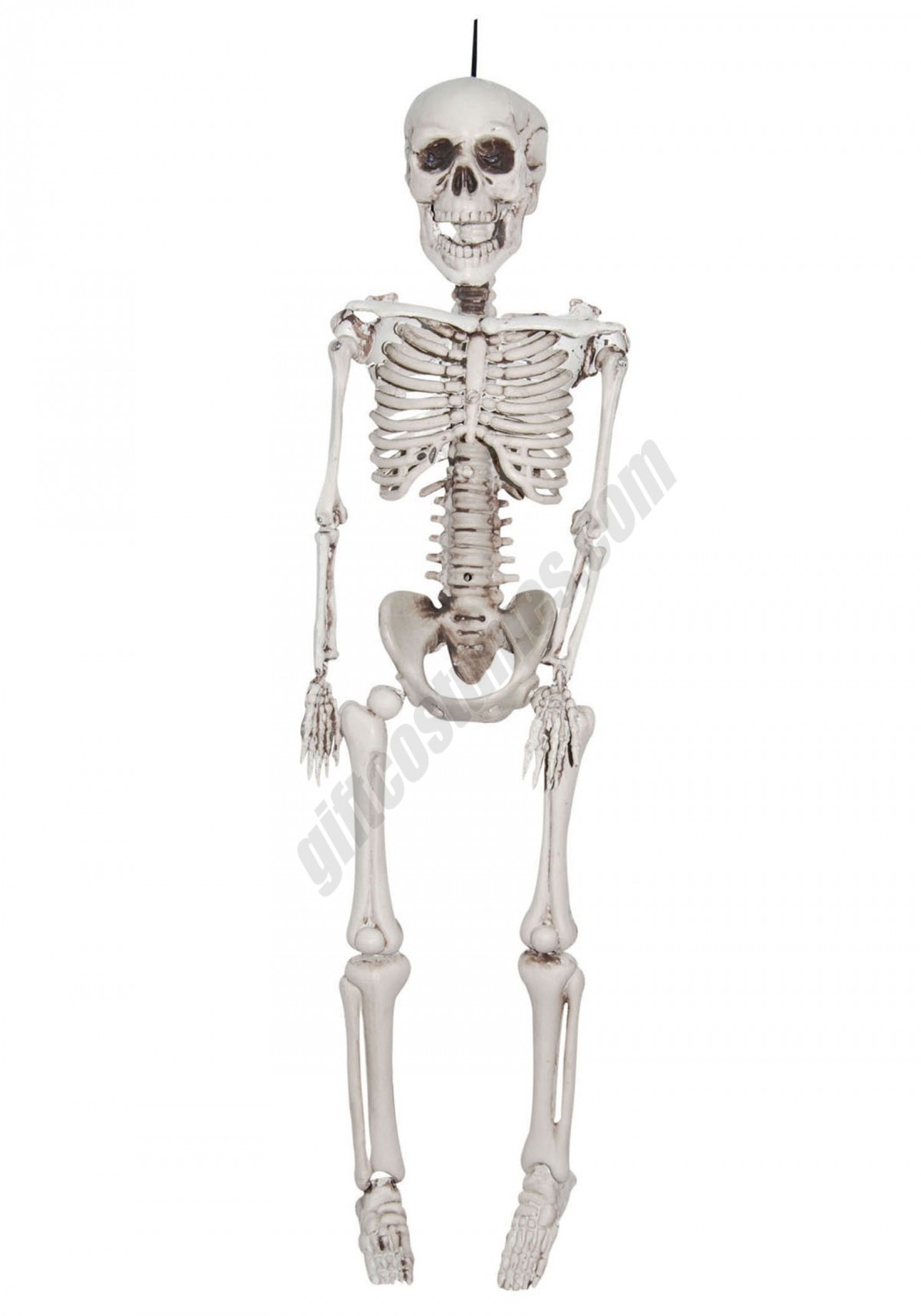 12 Inch Plastic Realistic Skeleton Promotions - -0