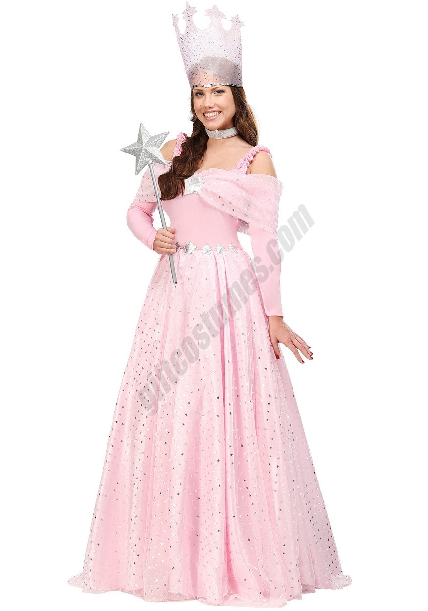Deluxe Plus Size Pink Witch Dress Costume Promotions - -0