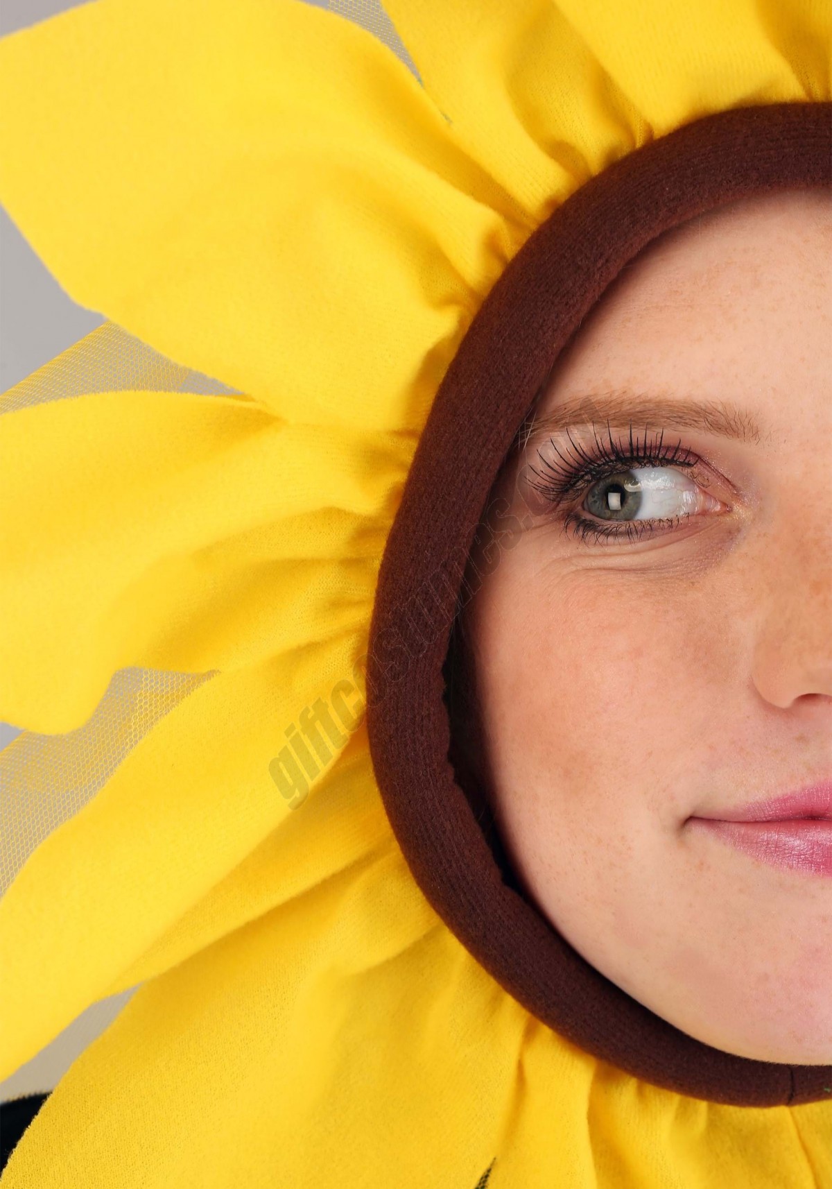 Sunflower Hood Promotions - -2