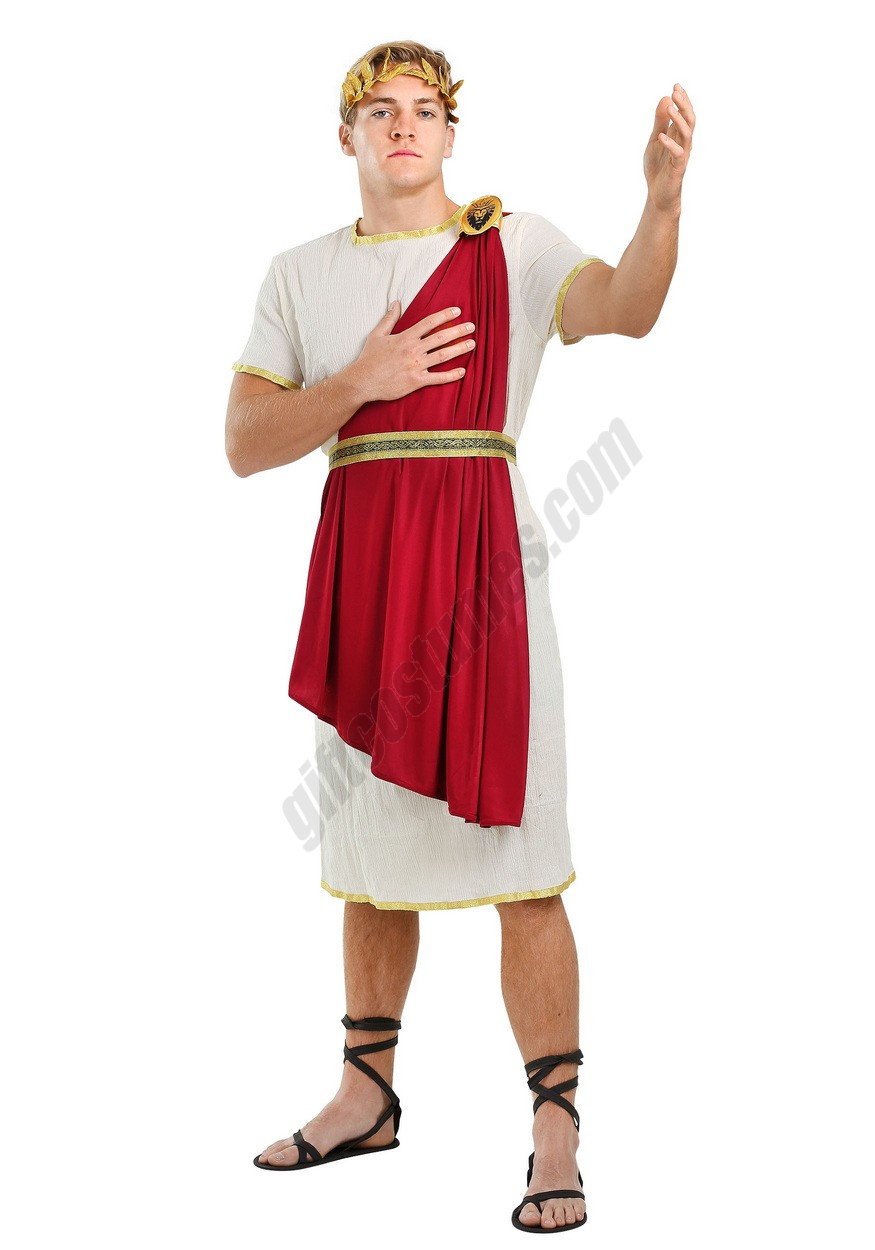 Men's Roman Senator Plus Size Costume Promotions - -0