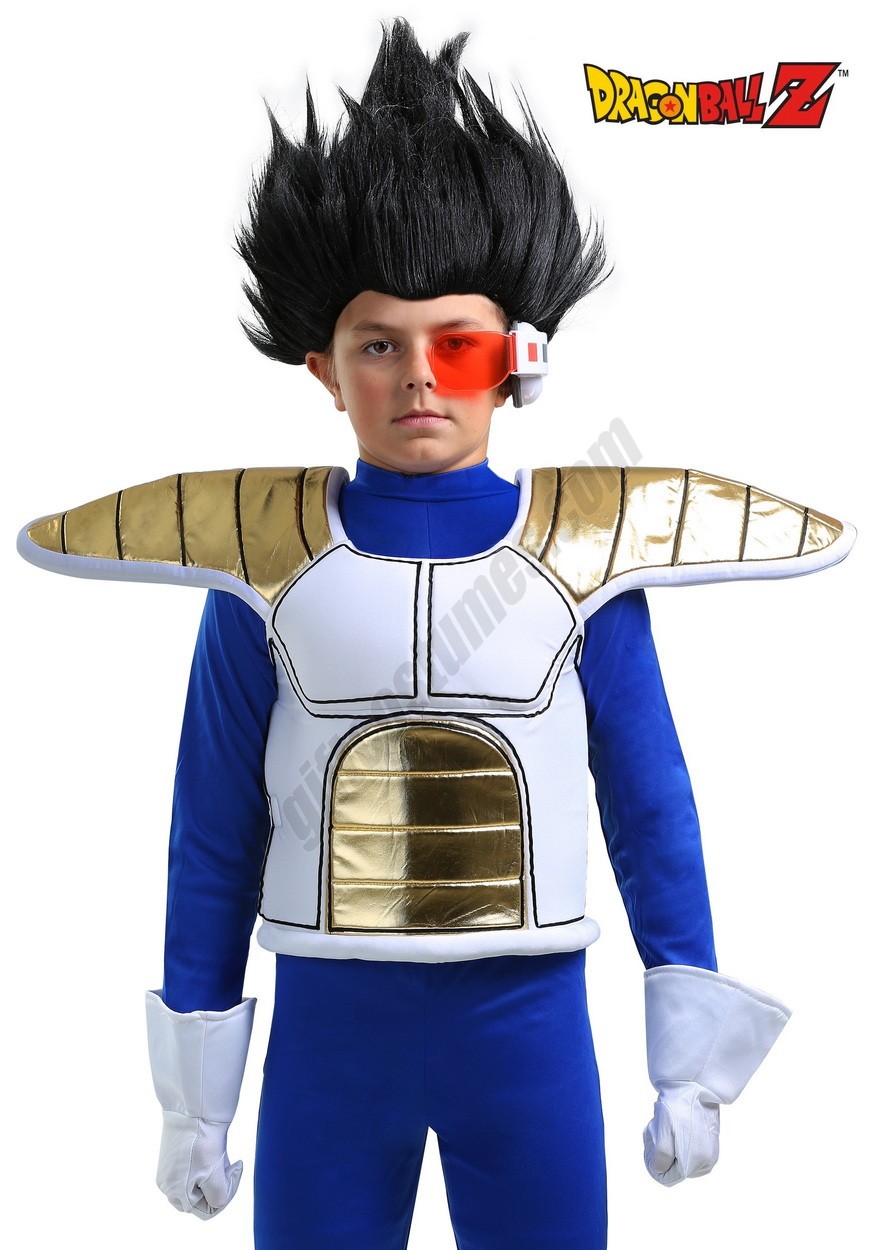 Dragon Ball Z Saiyan Child Armor Accessory Promotions - -0