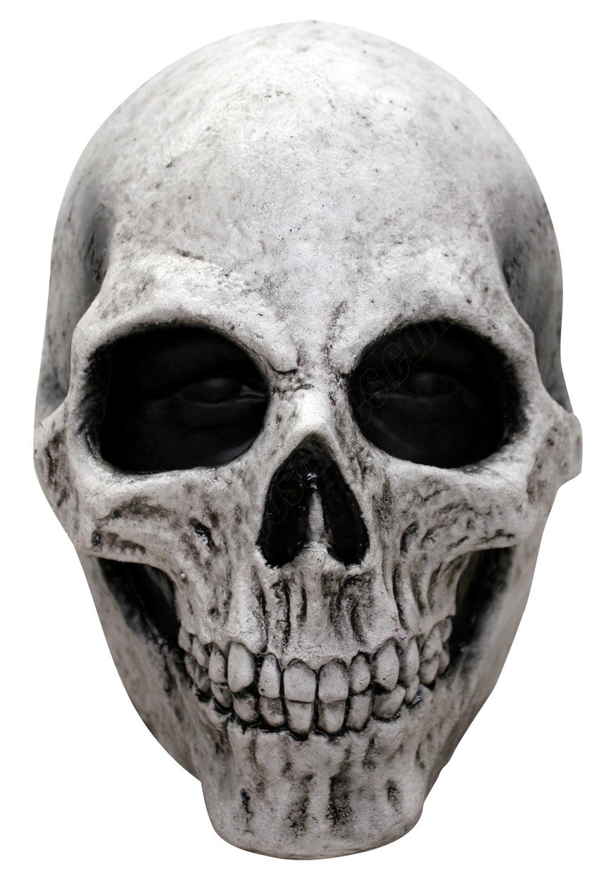 White Skull Adult Mask Promotions - -0