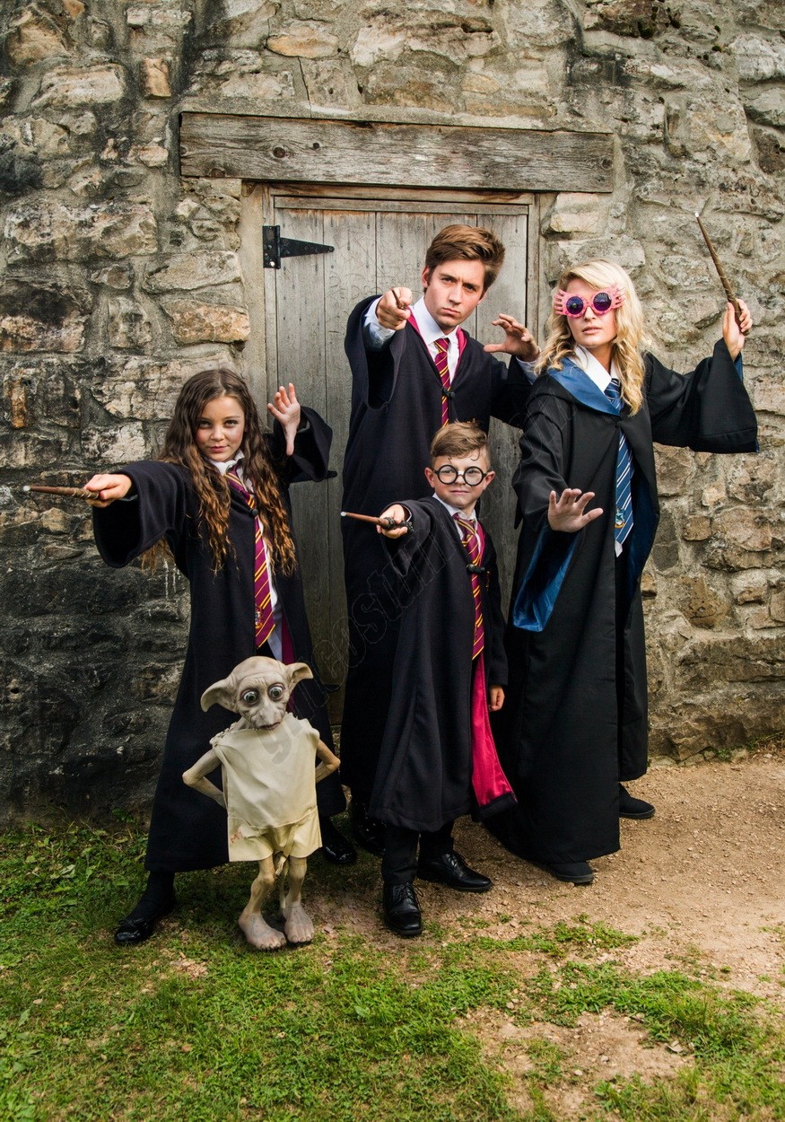 Adult Deluxe Harry Potter Costume Promotions - -6