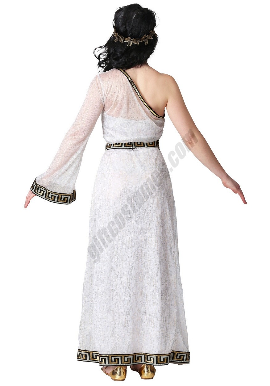 Grecian Goddess Women's Costume - -1