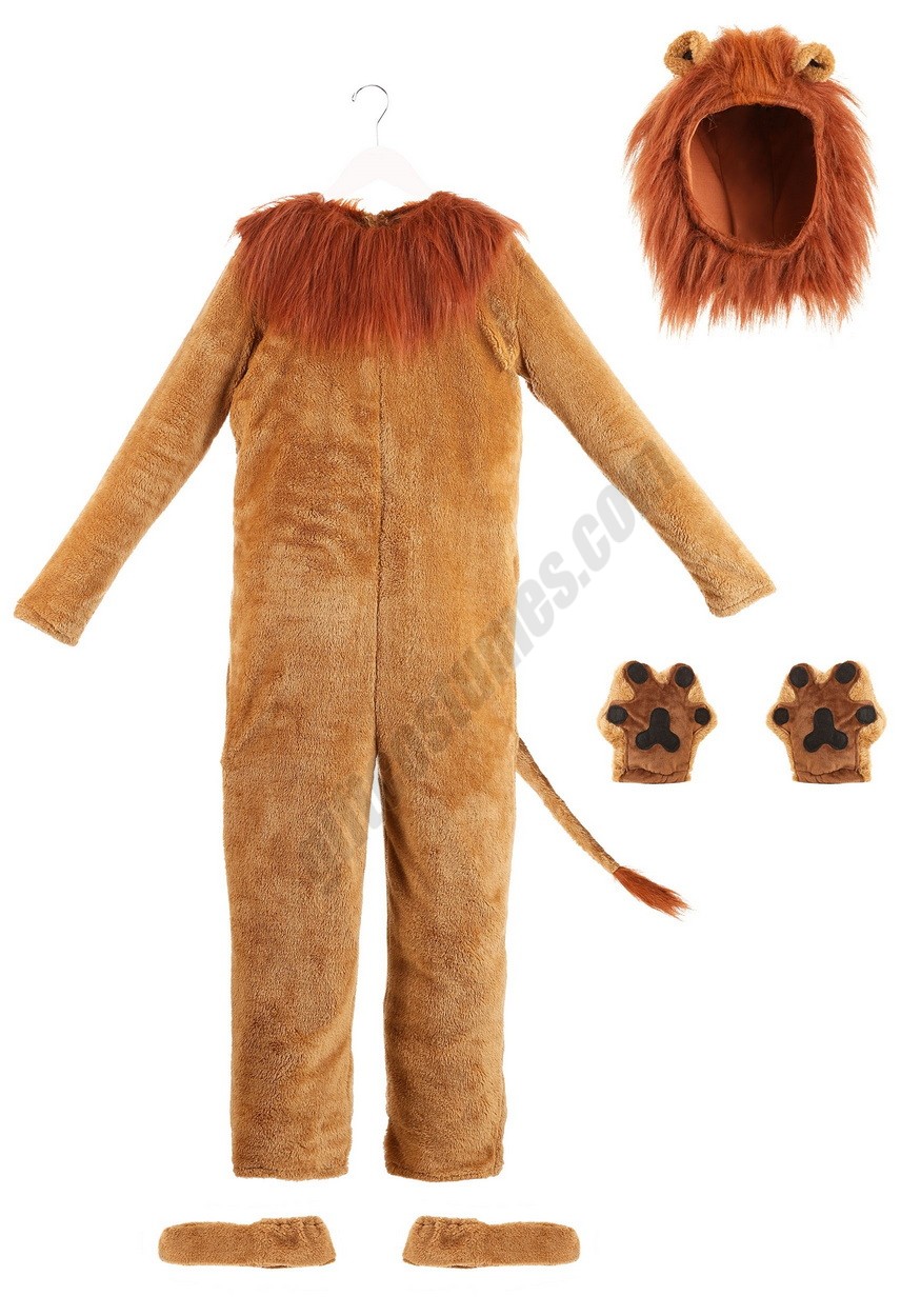 Adult Deluxe Lion Costume - Men's - -2