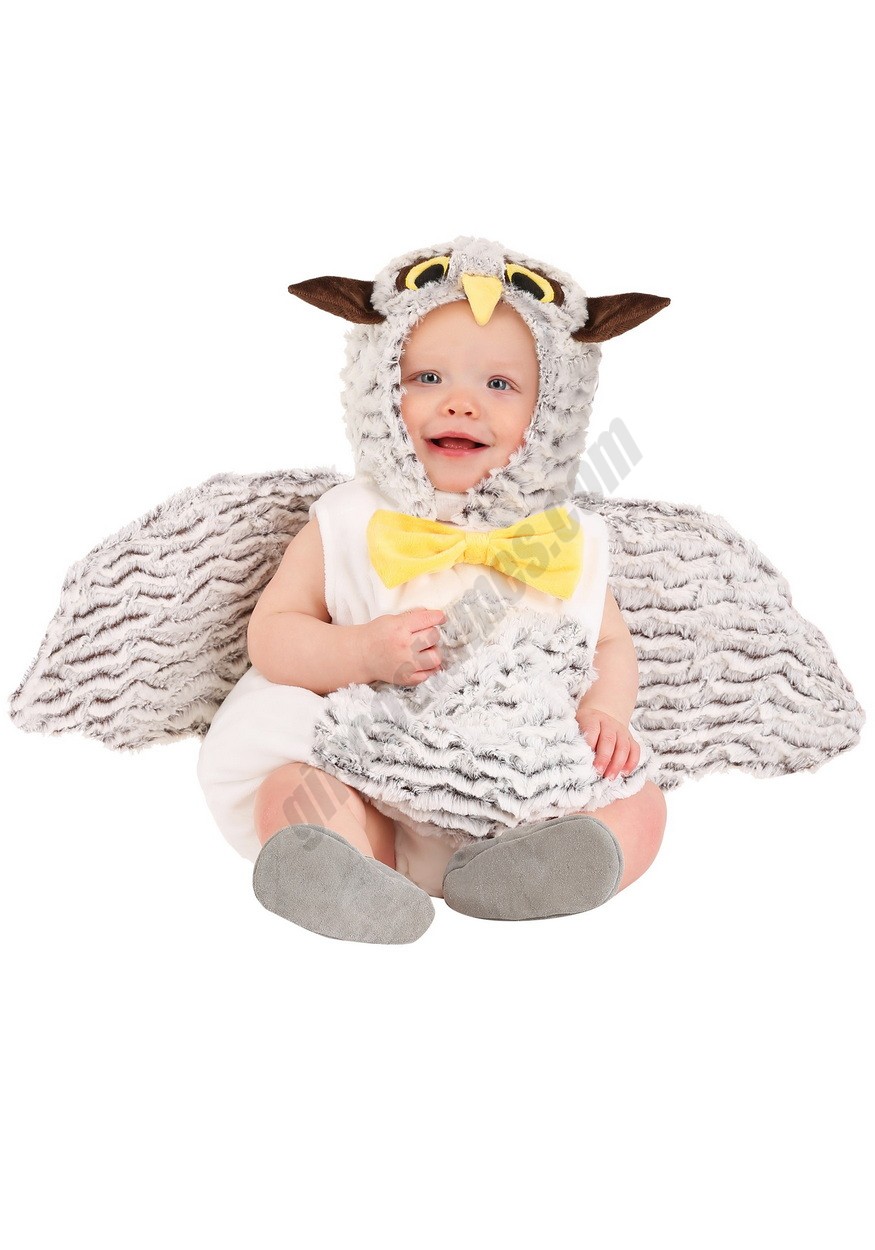 Oliver the Owl Costume for Infants Promotions - -0