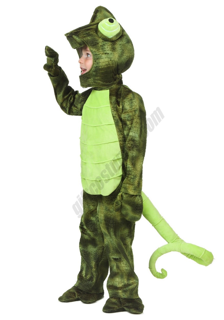 Toddler Chameleon Costume Promotions - -0