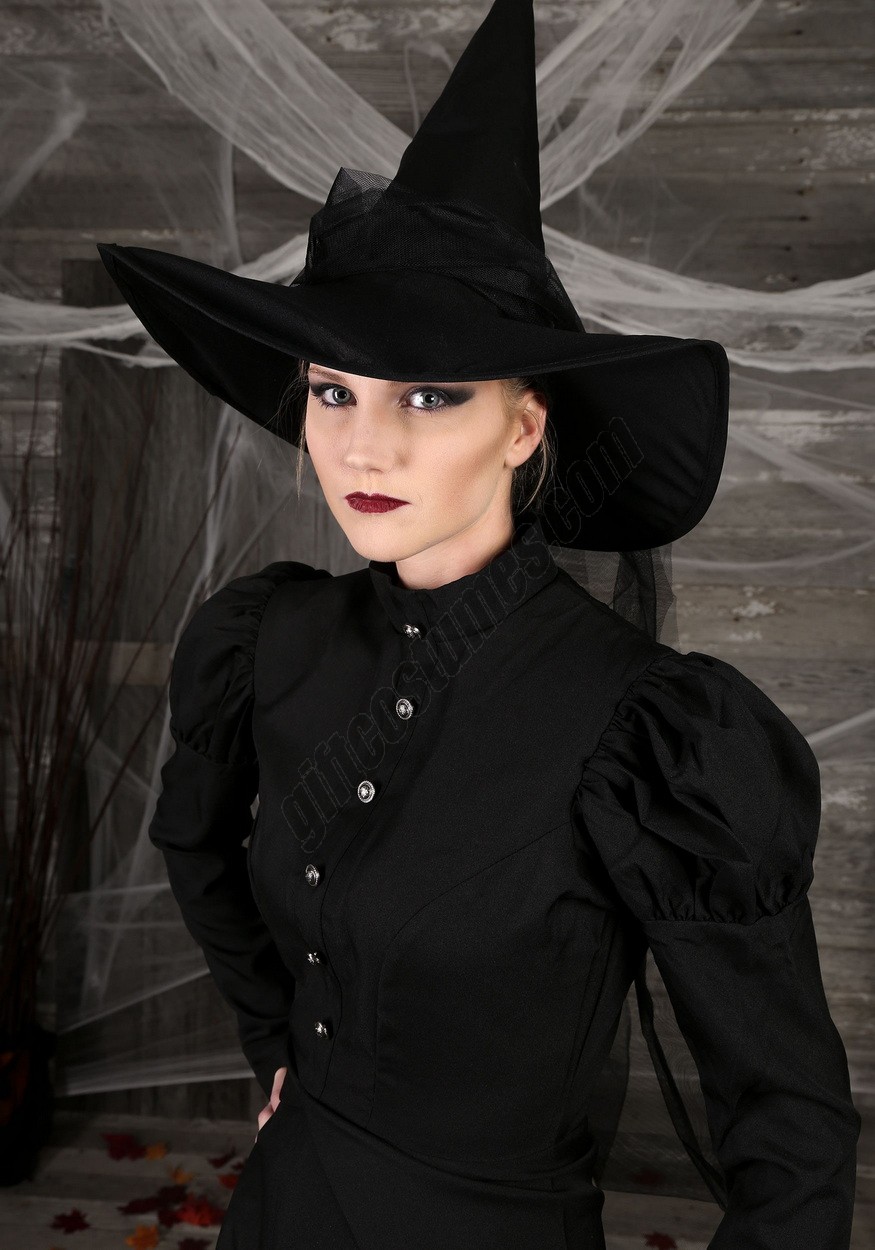 Women's Plus Size Witch Costume Promotions - -2