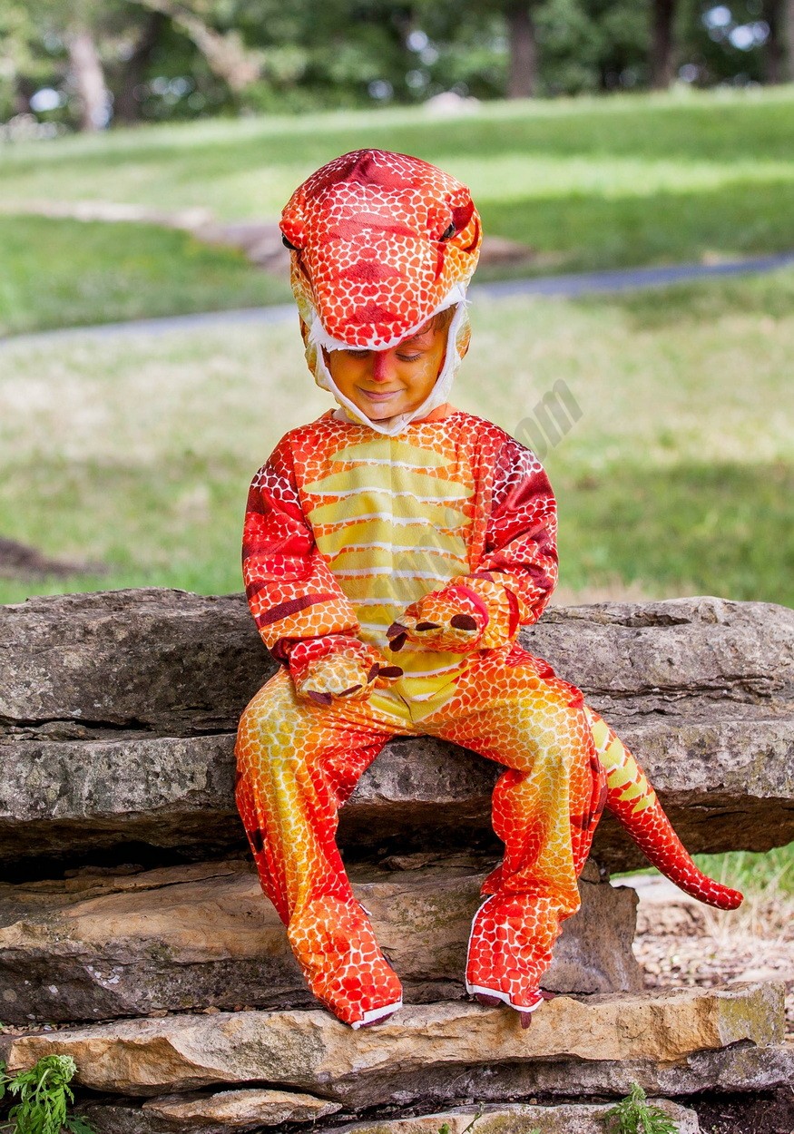 Child Rust T-Rex Costume Promotions - -3