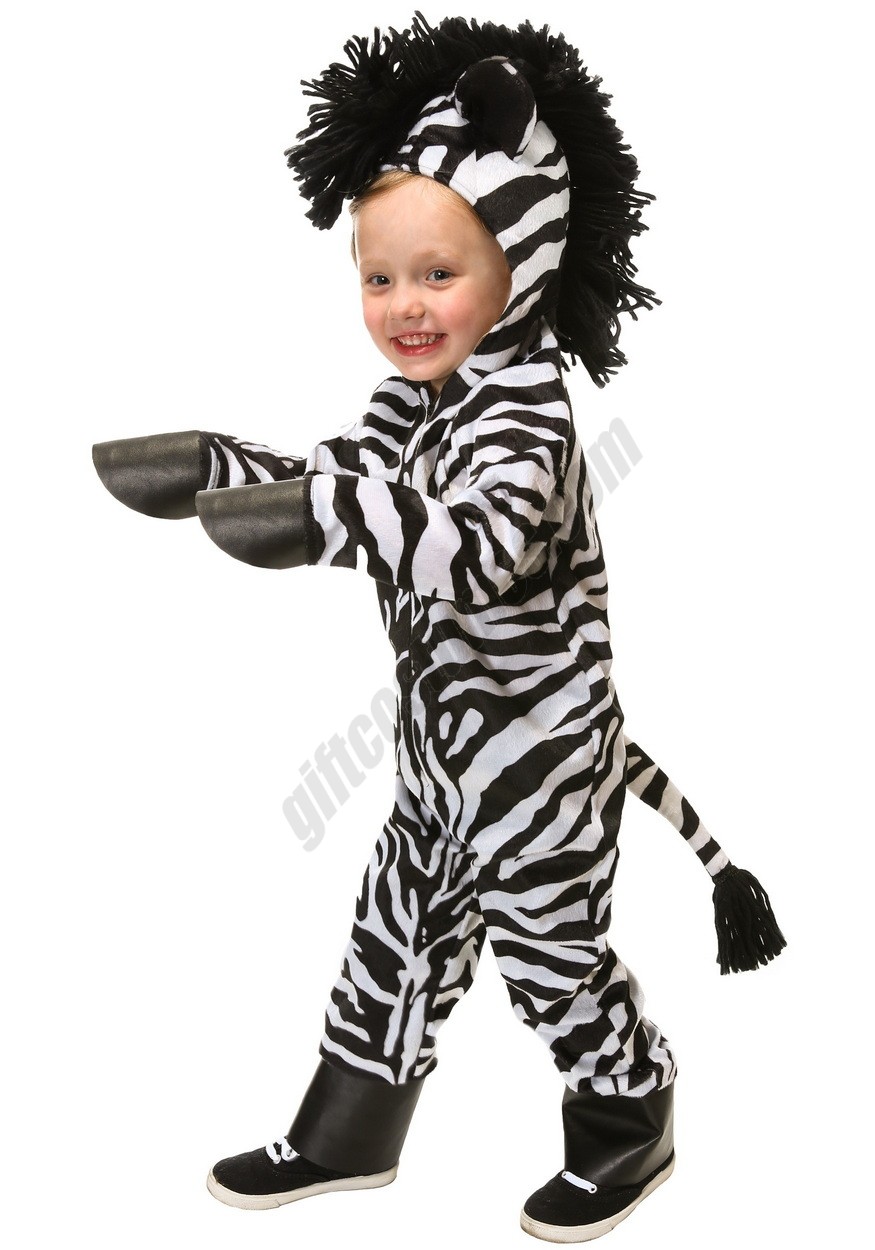 Wild Zebra Toddler Costume Promotions - -0