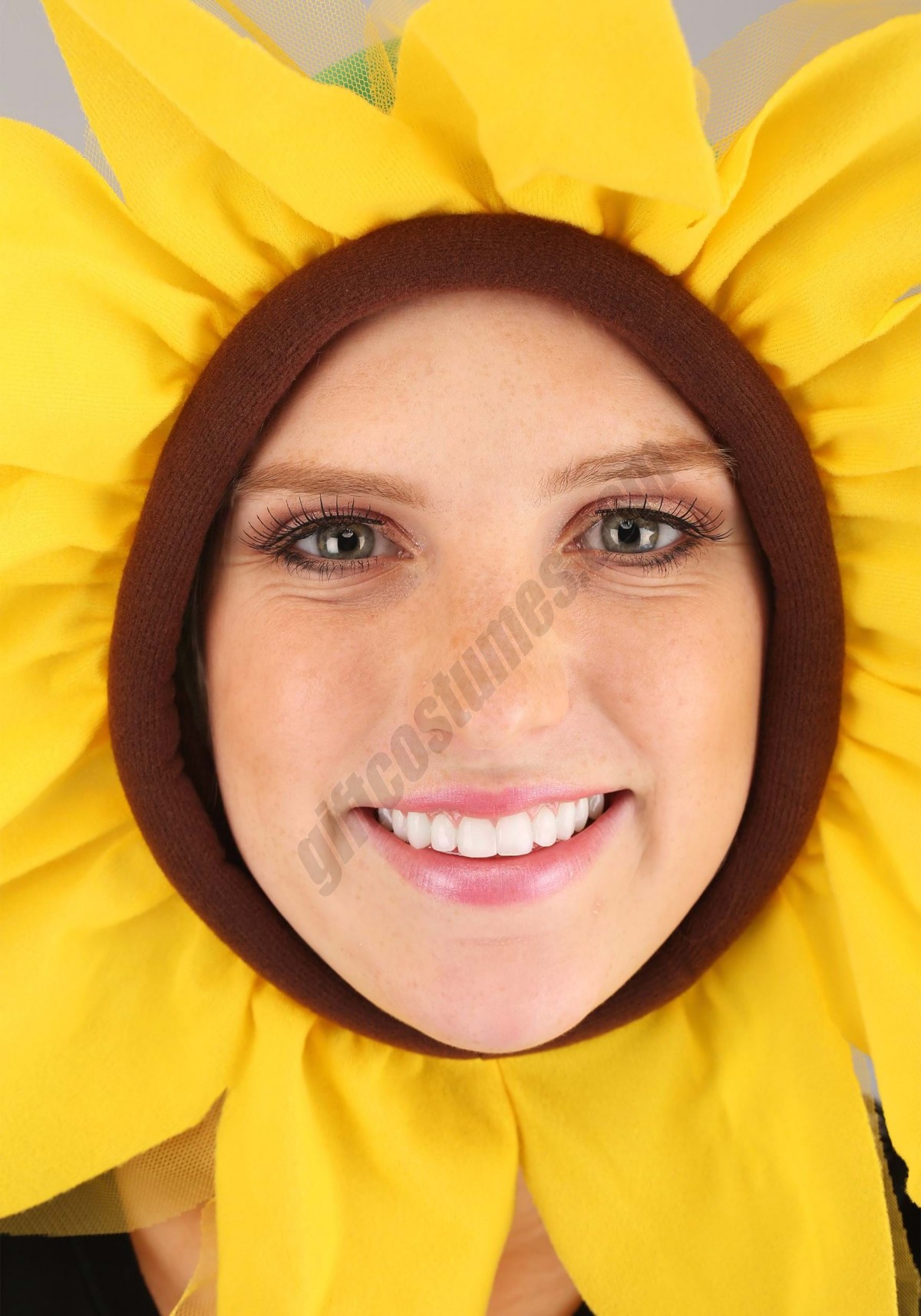 Sunflower Hood Promotions - -1