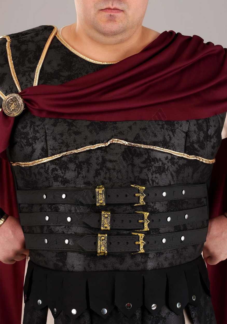 Plus Size Roman Gladiator Costume Promotions - -7