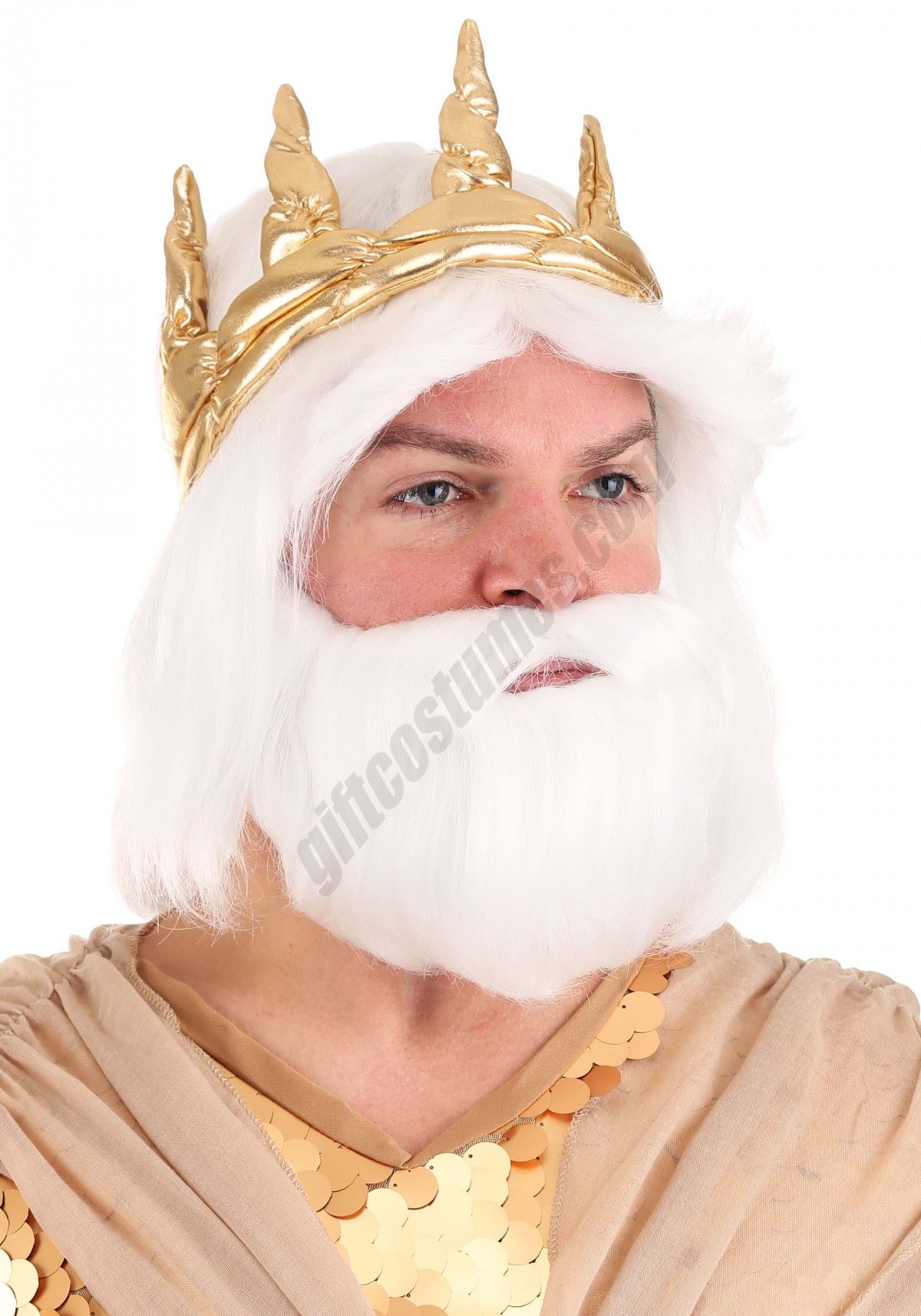Adult King Neptune Wig and Beard Set Promotions - -0