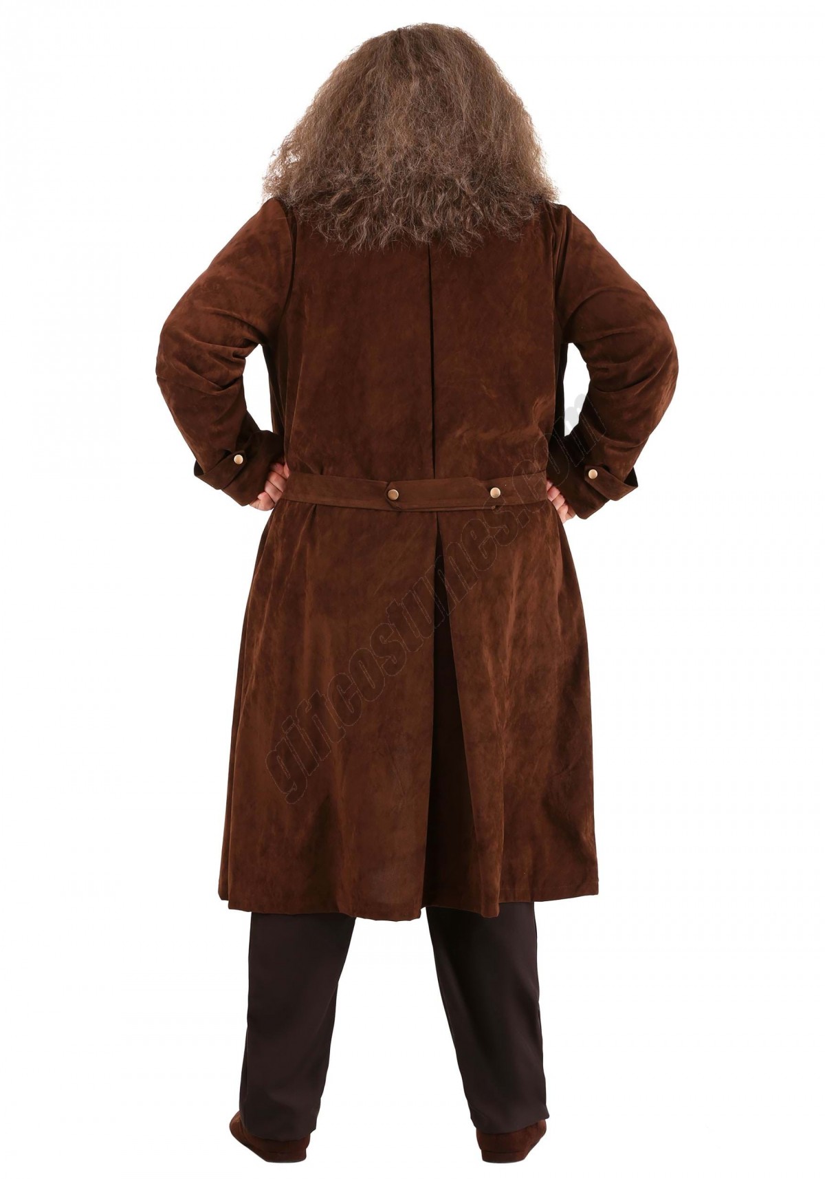 Deluxe Harry Potter Hagrid Plus Size Costume Promotions - -1