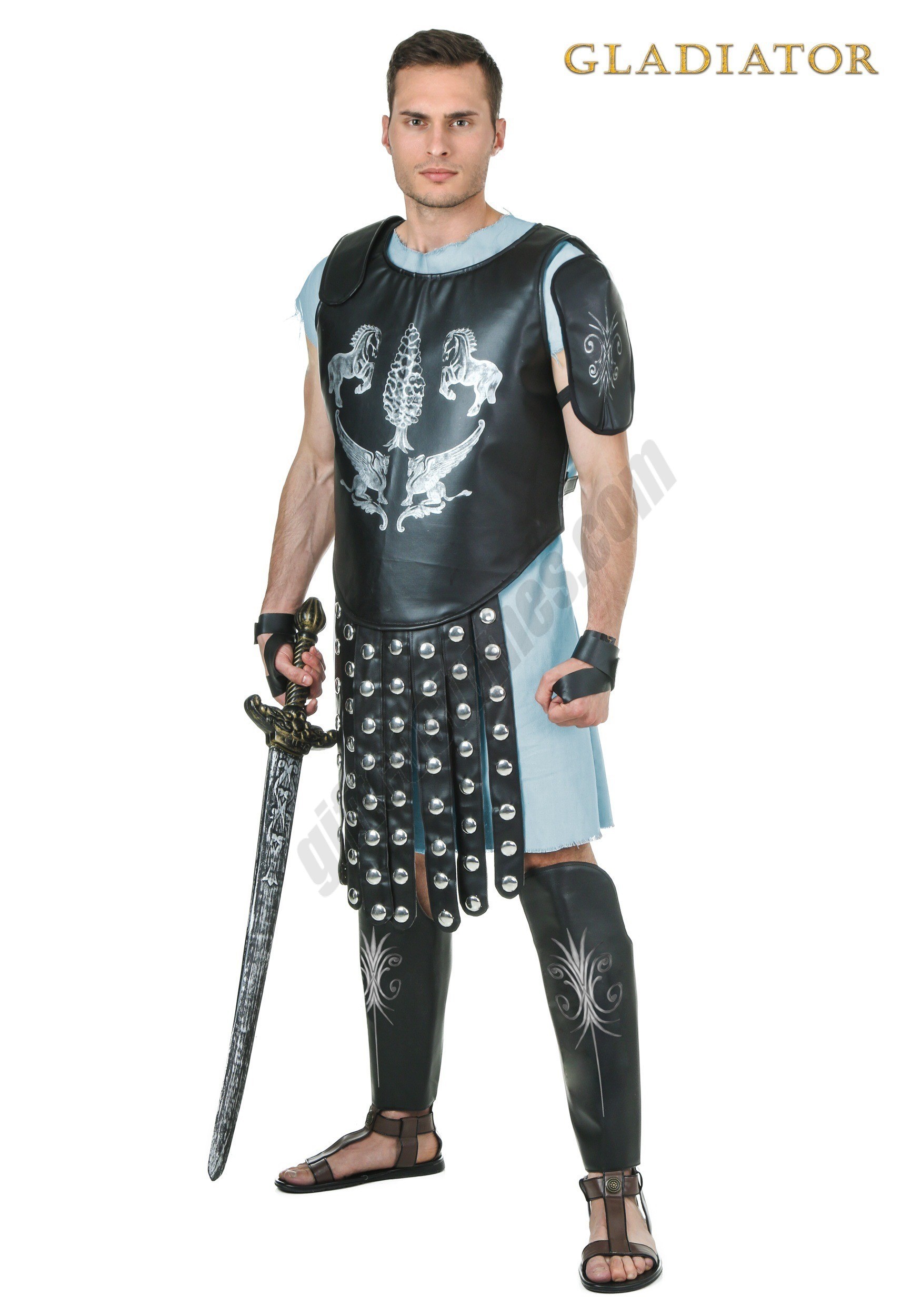 Men's Gladiator Maximus Arena Costume Promotions - Men's Gladiator Maximus Arena Costume Promotions