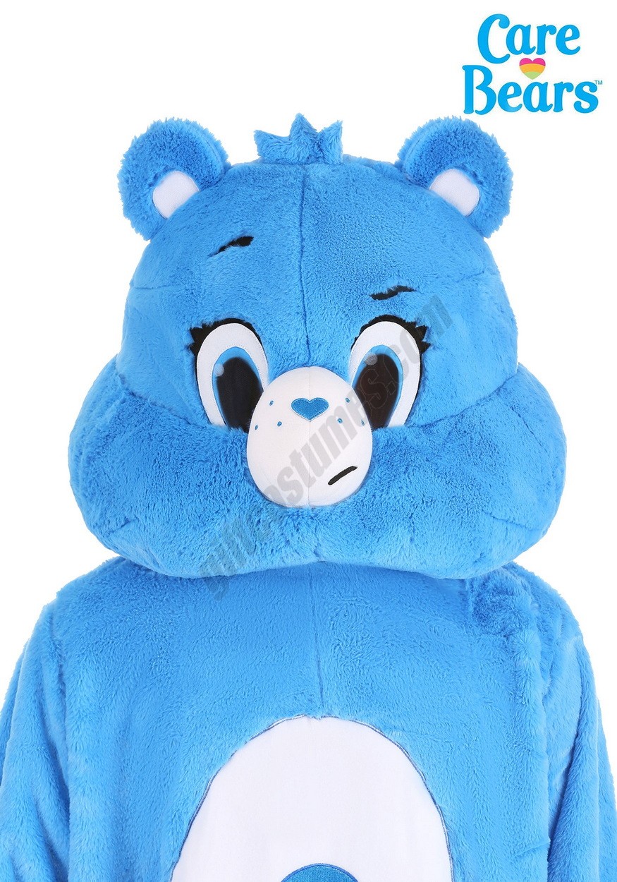 Grumpy Bear Adult Care Bears Mascot Mask Promotions - Grumpy Bear Adult Care Bears Mascot Mask Promotions