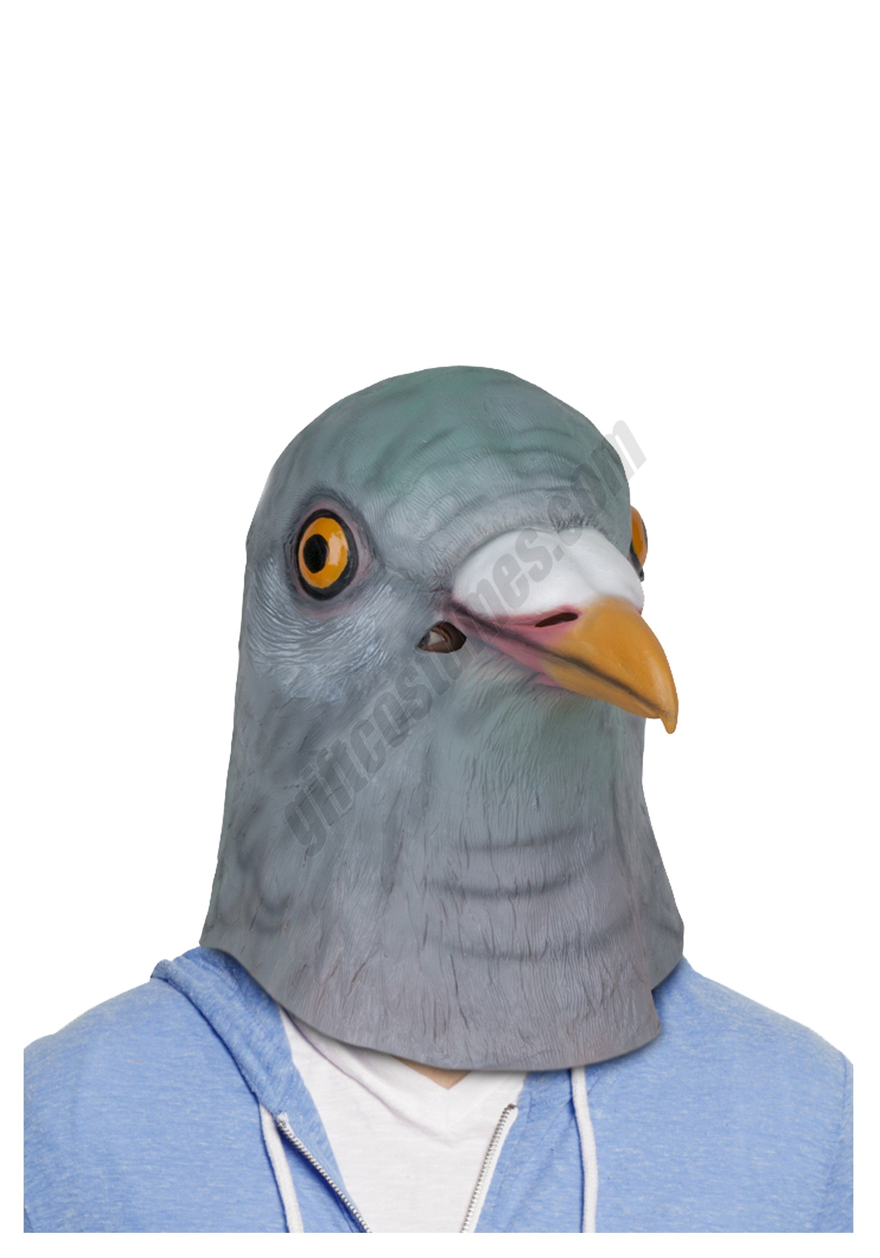 Pigeon Mask Promotions - Pigeon Mask Promotions