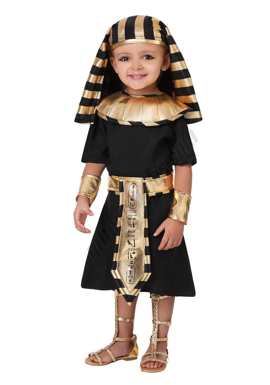 Toddler's Egyptian Pharaoh Costume Promotions - Toddler's Egyptian Pharaoh Costume Promotions