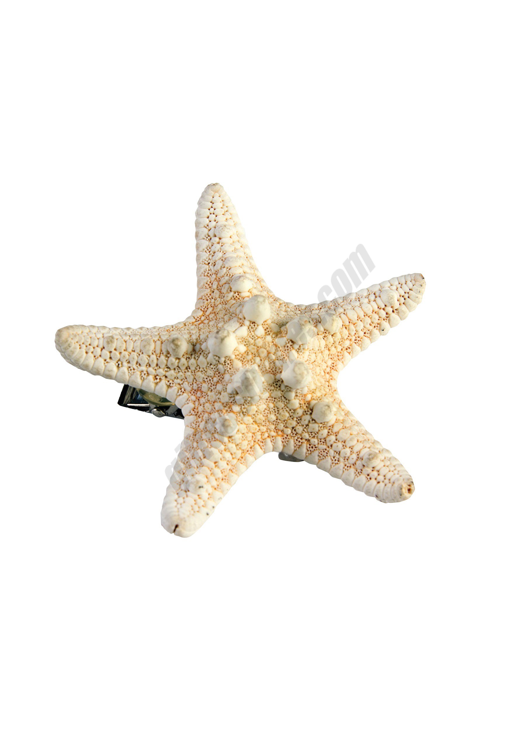 Mermaid Starfish Hairclip Promotions - Mermaid Starfish Hairclip Promotions