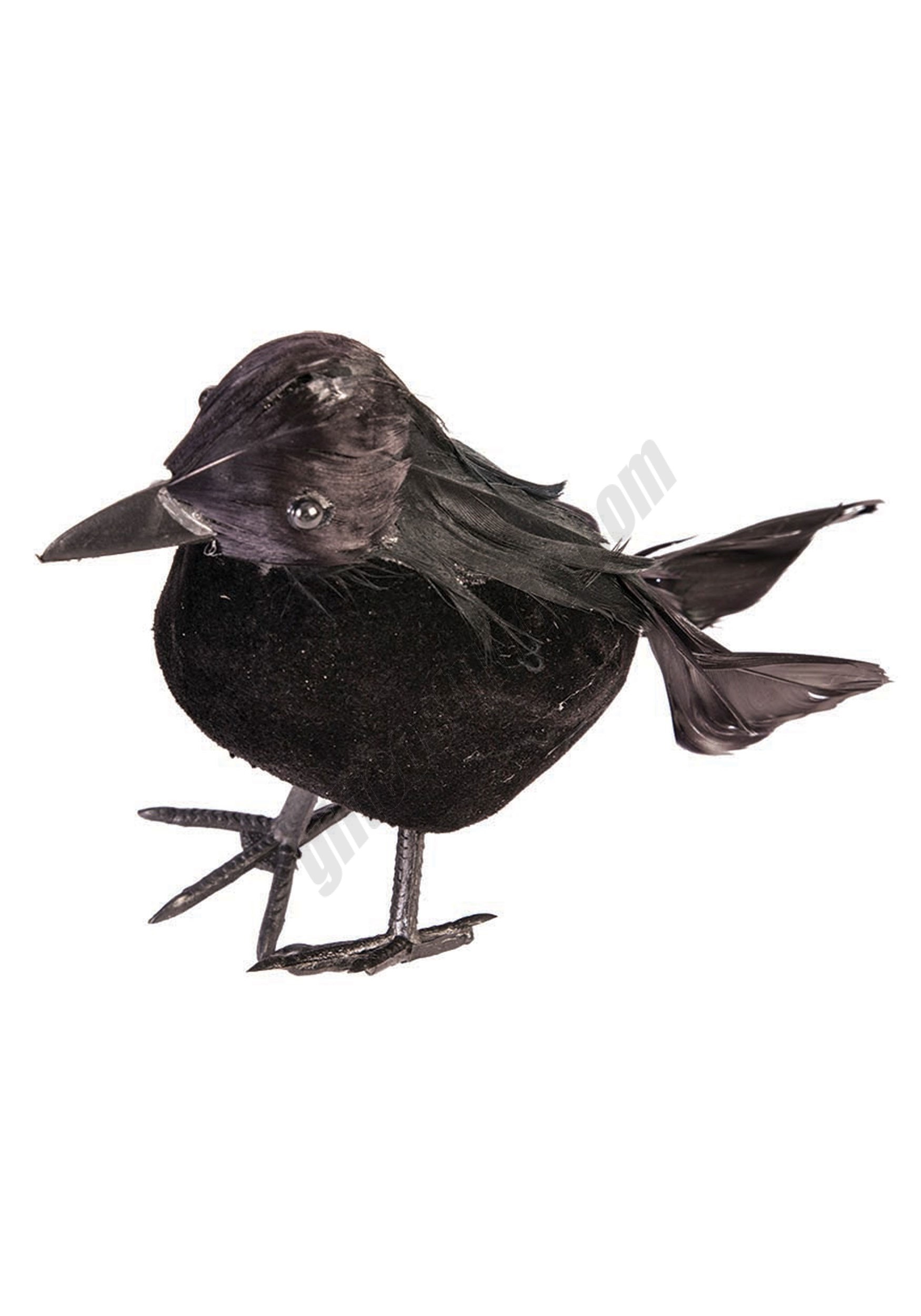 Black Crow - 5 Inches Tall Promotions - Black Crow - 5 Inches Tall Promotions