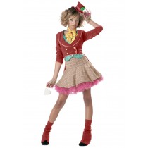 Whimsical Mad Hatter Dress Costume for Teens Promotions