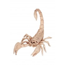 Mini Skeleton Scorpion Promotions