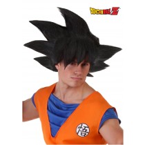 Adult Goku Wig Promotions