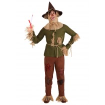 Wizard of Oz Adult Scarecrow Costume - Men's