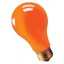 Orange 75w Light Bulb Promotions