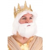 Adult King Neptune Wig and Beard Set Promotions
