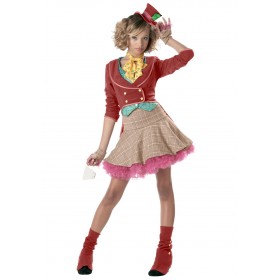Whimsical Mad Hatter Dress Costume for Teens Promotions