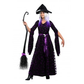 Purple Moon Women's Witch Costume