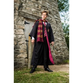 Adult Deluxe Harry Potter Costume Promotions