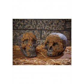 Moss Covered Skull Halloween Decoration Promotions